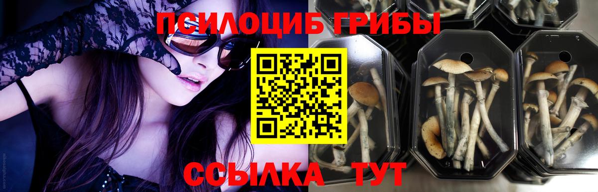 Псилоцибиновые грибы Magic Shrooms  Вход с VPN  где найти   Ульяновск  Галлюциногенные грибы Magic Shrooms 